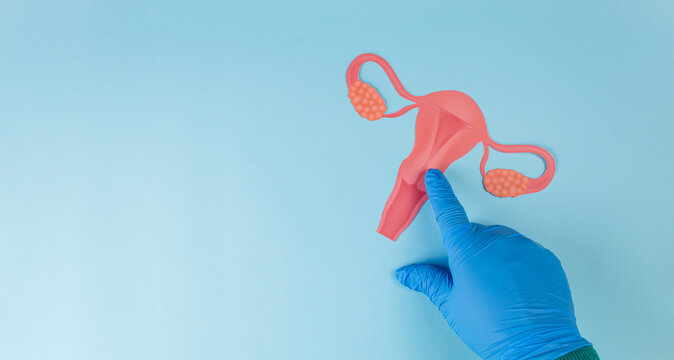 A gynecologist's hand points to the cervix in a cardboard cutout image against a light blue background. Concept of early detection of cervical cancer. Pap test.