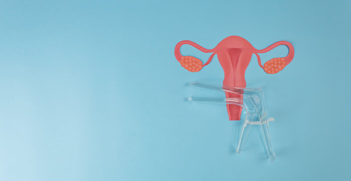 Plastic speculum and cardstock uterus on a light blue background. Concept of early detection of cervical cancer. Pap test awareness. Isolated.