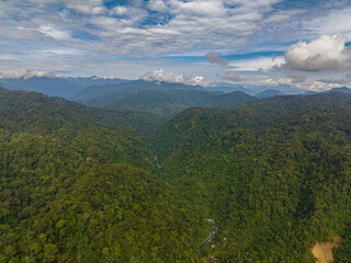 Aerial drone of tropical forest in the mountains and jungle. Bukit Lawang. Sumatra, Indonesia.