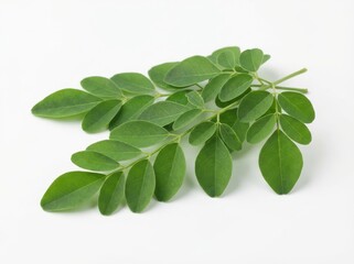 Obraz premium Fresh green moringa leaves on a white background, showcasing their natural vibrant color and delicate structure.
