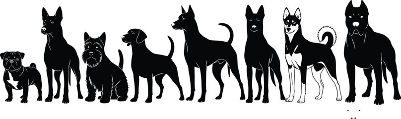 Dog breed silhouettes, black and white lineup, canine vector illustration, pet comparison chart, stylized animal design, forward-facing dog poses