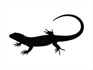 Silhouette of a gecko lizard with a curved tail on a white background