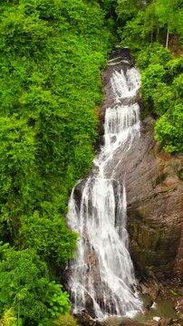 Waterfall in the jungle. Sri Lanka. Kuda Falls in the rainforest. Vertical video.