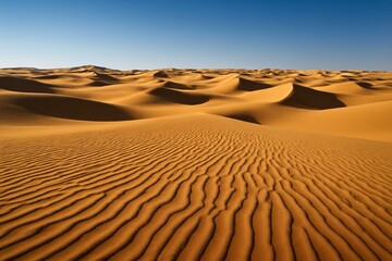 Majestic desert landscape with golden sand dunes and ripple texture under a clear blue sky, scenic background for travel and adventure concepts