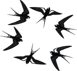 Cartoon swallow silhouettes in circular flight formation, elegant black vector birds for nature, motion, design, decoration, and educational themes.
