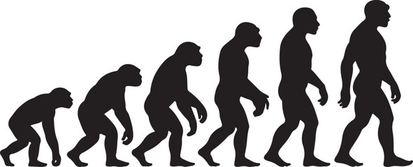 Theory of evolution of man silhouette