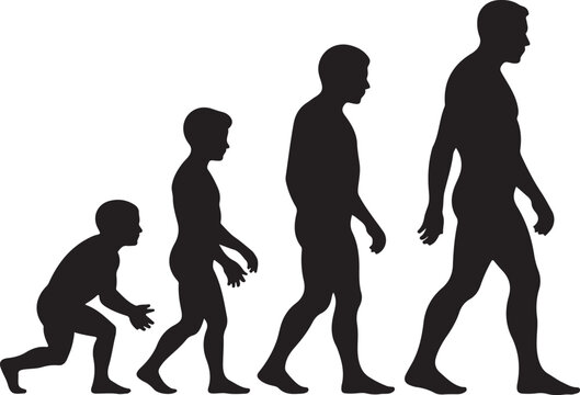Theory of evolution of man silhouette