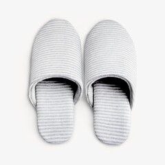 House comfortable slipper isolated image