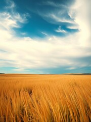 Obraz premium Vast open plains with tall grass swaying in the wind under a vast sky, wind, grass