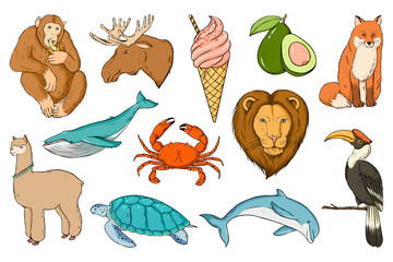 Fototapeta premium Png wild life sticker set colorful clipart
