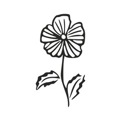 Handdrawn blooming flower with delicate stem