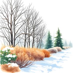 winter forest trees and bushes with snow watercolor illustration