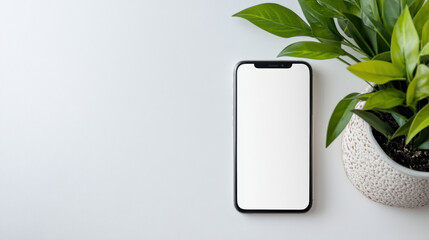 Modern blank smartphone mockup near potted green plant on minimalist white desk, calm atmosphere