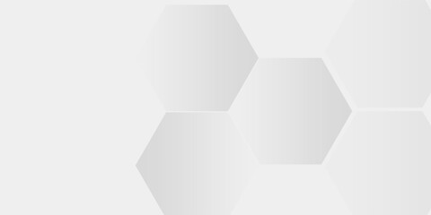 Hexagon grey and white on grey dominated background.