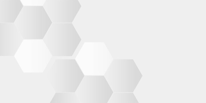 Hexagon grey and white on grey dominated background. Digital hexagon design