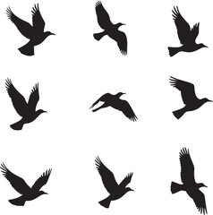 Naklejka premium Nine black bird silhouettes in flight on white background