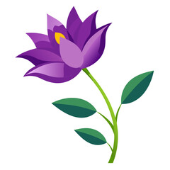 vector illustration of lotus flower