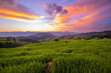 Vibrant Sunset Sky Over Green Terraced Rice Fields and Mountains in Asia
