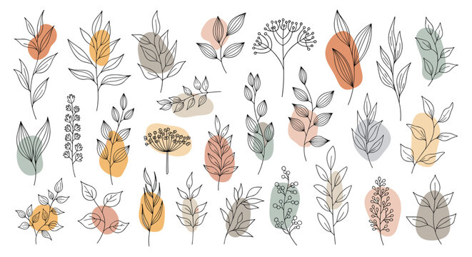 A collection of delicate line art botanicals with leaves and branches, layered over abstract, neutral-colored organic shapes for a modern design.