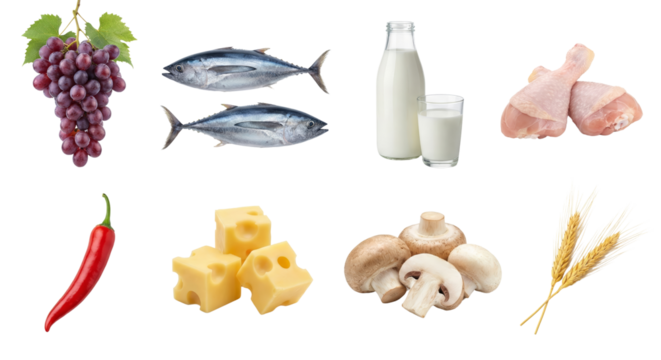 Diverse assortment of fresh foods including fish, dairy, grains, produce and poultry against a