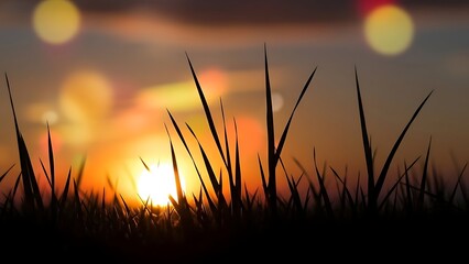 Silhouette of grass against a blurred sunset sky with bright light and bokeh effect in the background