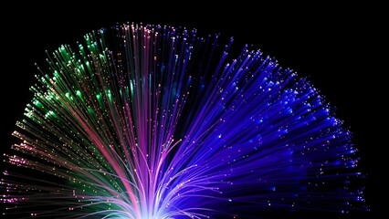 A fiber optic lamp displaying vibrant colors against a dark background in a striking arrangement