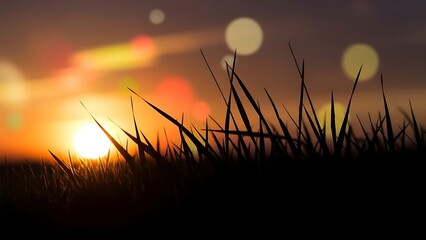 Silhouette of grass against a bright sunset sky with bokeh lights in the background scene view