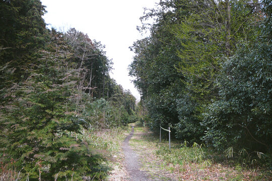 日本：昔の細い未舗装道路（神稲荷大明神前の道）／埼玉県鶴ヶ島市高倉2008年撮影