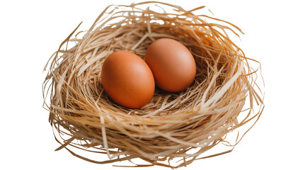 Two brown eggs nestled in a rustic straw nest