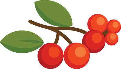 Illustration of bright red berries and green leaves on a branch
