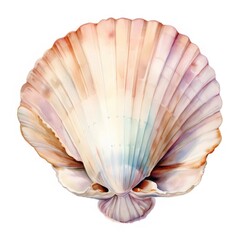 貝殻のクローズアップ水彩画