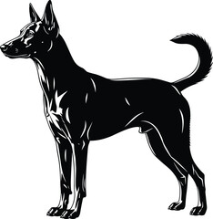 Stylized black and white vector illustration of alert muscular dog in side profile view with strong contrast and confident posture