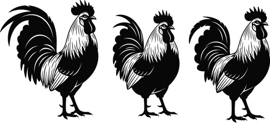 Three stylized rooster illustrations in black and white, symmetrical pose, detailed feathers, farm animal vector art for commercial use.