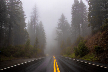 Naklejka premium Foggy Forest Road With Mist and Yellow Lines