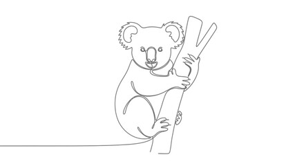 Minimalist koala bear line drawing clinging to eucalyptus branch for designs and illustrations
