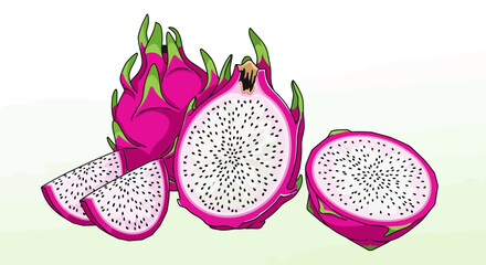 Illustration of vibrant dragon fruits whole and sliced on a light background