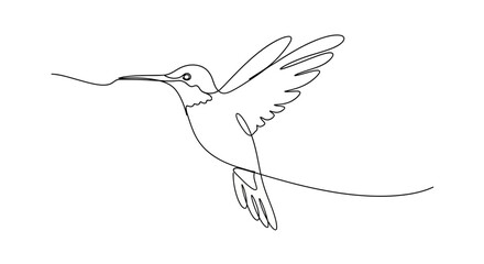 Elegant minimalist line art featuring a hummingbird in flight conveying freedom and grace