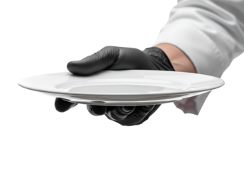 closeup chef hand holding empty plate on transparent background