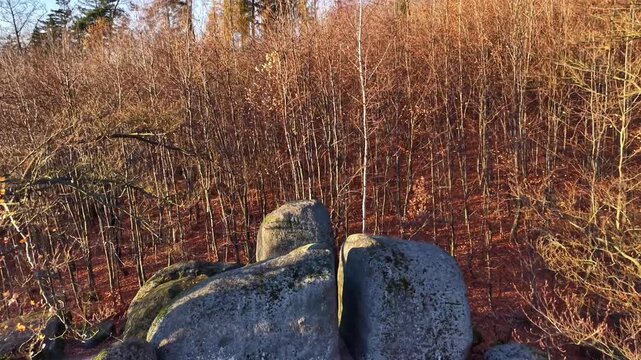 stone outcrop adjacent to leafless shrubbery, calm natural scene with rugged stones and bare