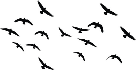 Flock of flying birds silhouette, black isolated shapes on white background, vector illustration of migration, nature, freedom, wild animal life