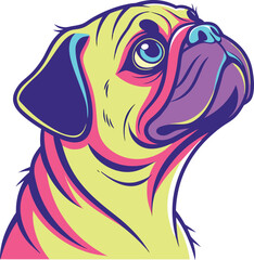 ColorPug Vibe