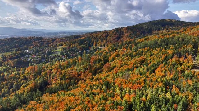 lush autumn hillscape with distant settlement, vivid fall hillside with bright leaves and aerial