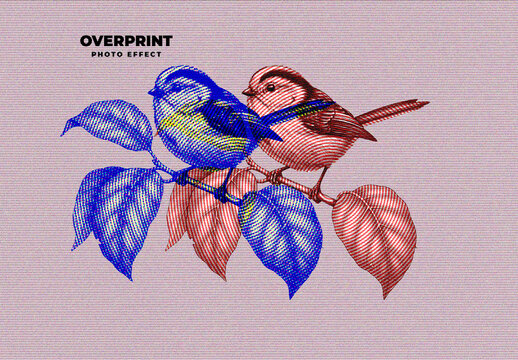 Overprint Duotone Photo Effect
