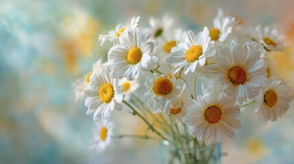 Charming Daisies in Soft Focus - A Bouquet of Floral Beauty.