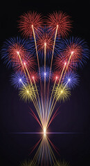 fireworks on the night sky