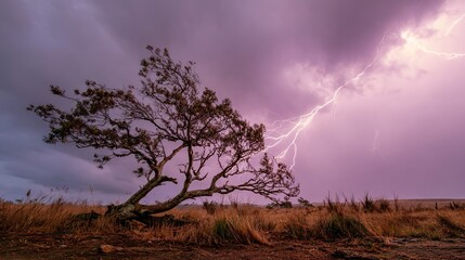 predictability. A solitary tree struck by lightning during a storm with dramatic sky. ESG reports, sustainability campaigns, designed for sustainability communications and ESG reporting.