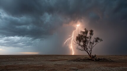 predictability. A solitary tree struck by lightning during a storm with dramatic sky. ESG reports, sustainability campaigns, designed for sustainability communications and ESG reporting.