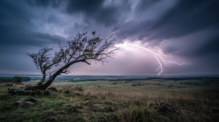 predictability. A solitary tree struck by lightning during a storm with dramatic sky. ESG reports, sustainability campaigns, designed for sustainability communications and ESG reporting.