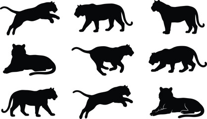 Tiger silhouette icon set, dynamic black poses of wild feline motion, strength, and grace for wildlife design themes