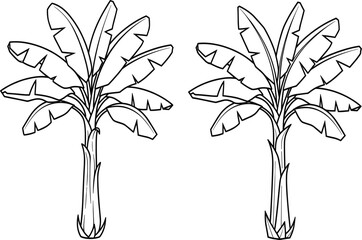Tropical Banana Tree Line Art – Botanical Silhouette for Nature-Themed Design